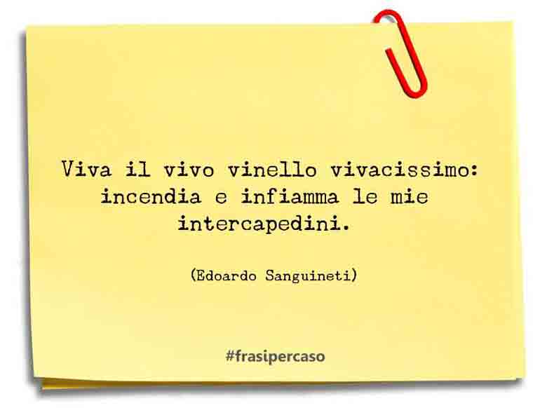 Una citazione di Edoardo Sanguineti by FrasiPerCaso.it