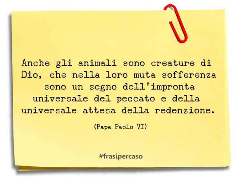 Una citazione di Papa Paolo VI by FrasiPerCaso.it
