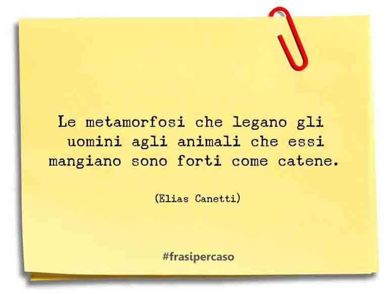 Una citazione di Elias Canetti by FrasiPerCaso.it
