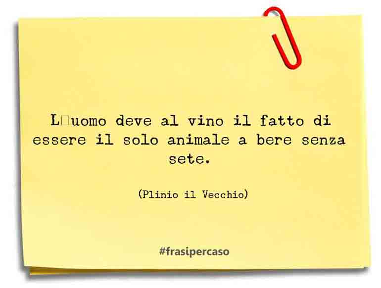 Una citazione di Plinio il Vecchio by FrasiPerCaso.it