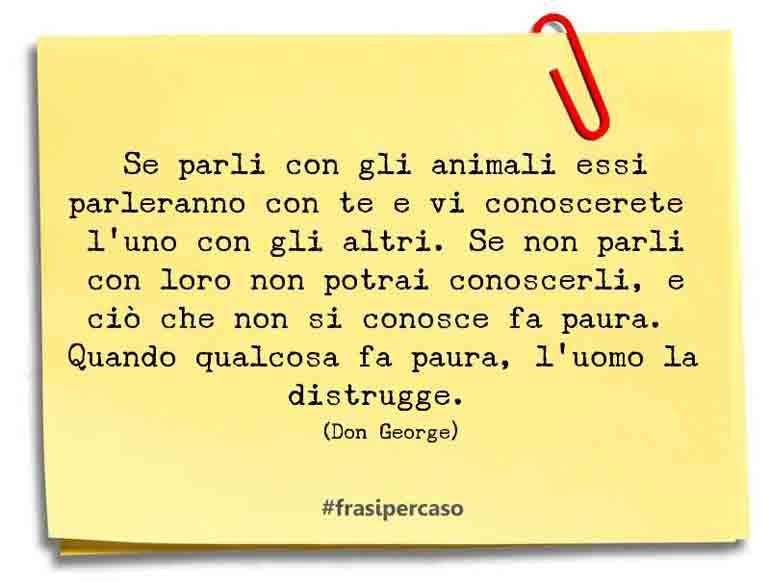 Una citazione di Don George by FrasiPerCaso.it