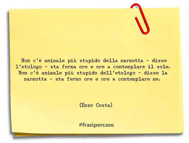 Una citazione di Enzo Costa by FrasiPerCaso.it