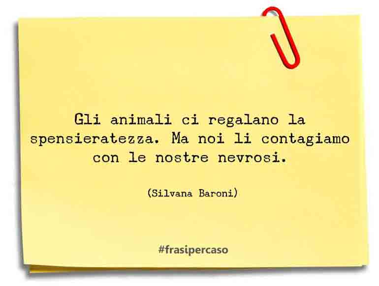 Una citazione di Silvana Baroni by FrasiPerCaso.it