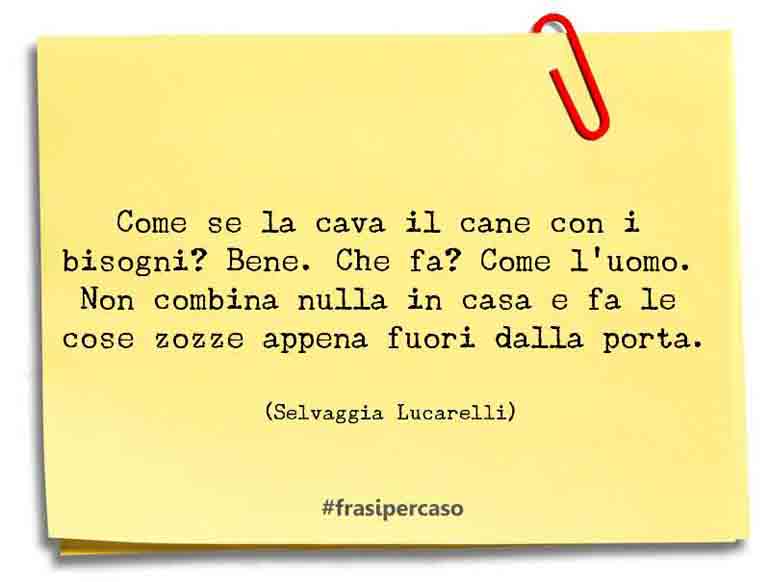 Una citazione di Selvaggia Lucarelli by FrasiPerCaso.it