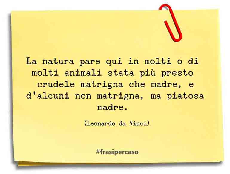 Una citazione di Leonardo da Vinci by FrasiPerCaso.it