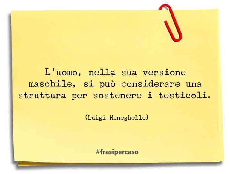 Una citazione di Luigi Meneghello by FrasiPerCaso.it